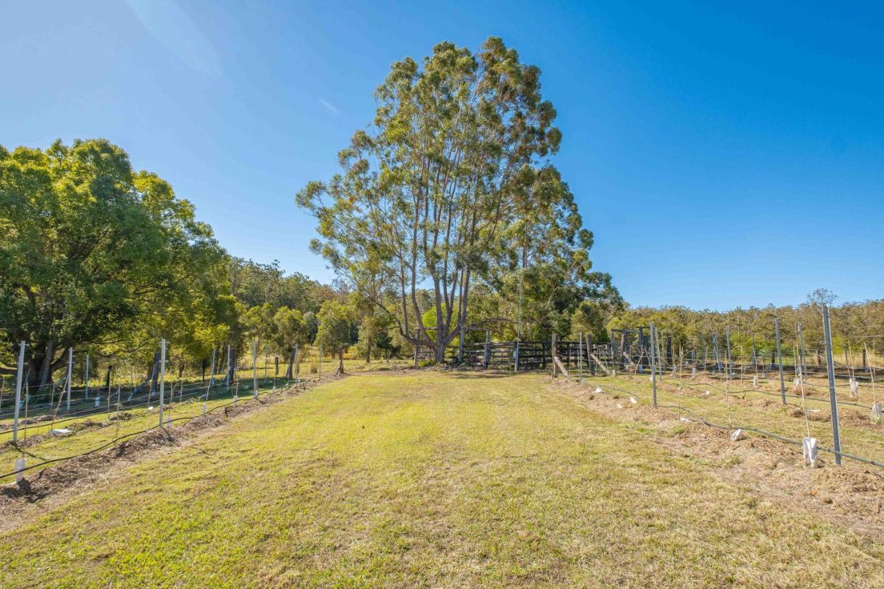 Widgereedoo Farm. Vineyard Views. Peaceful Retreat. Villa Tamaree Exterior photo